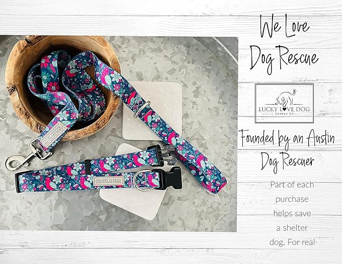 Lucky Love Dog, Whimsical Bird Martingale Dog Collar and Leash Set, Vivid Pink, Mint, Blue Flowers Medium No Slip Dog Collar - (M, Carriebelle Mart - Combo)