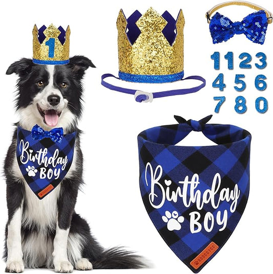 ADOGGYGO Dog Birthday Party Supplies, Blue Plaid Birthday Boy Dog Bandana, Golden Pet Party Hat with Numbers, Bowtie for Medium Large Pets (Large)