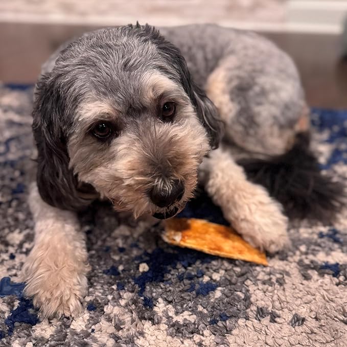 Fieldcrest Farms Nothin to Hide Flip Chips Dog Chews - Natural Rawhide Alternative Treats for Dogs, Collagen Based Snack for Moderate Chewers Up to 35lbs, Chicken Flavor - 2 Packs (16 Chips)