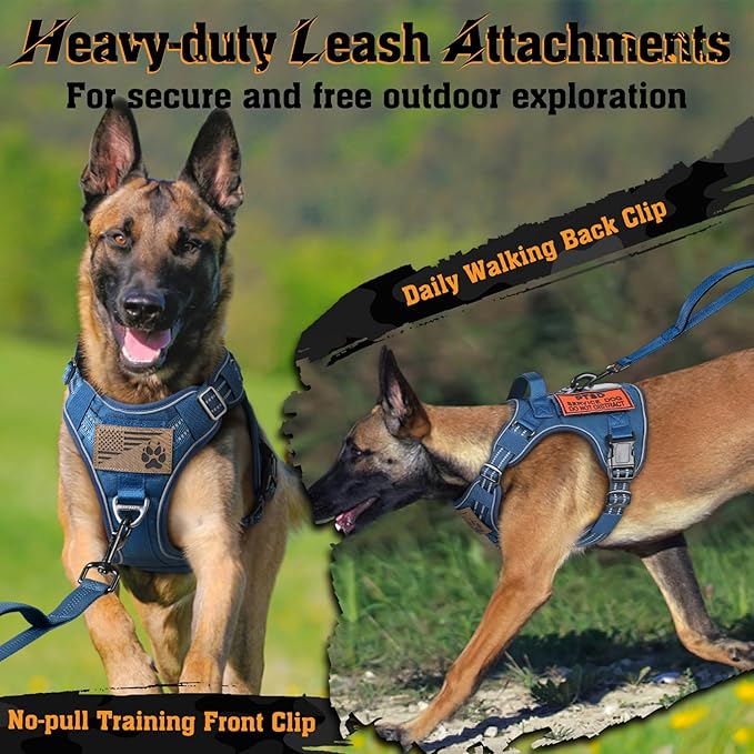 rabbitgoo Dog Harness for Large Dogs No Pull, Tactical Service Dog Vest with Molle and Control Handle, Adjustable and Reflective Military Pet Harness for Easy Walking and Training, Blue, XL
