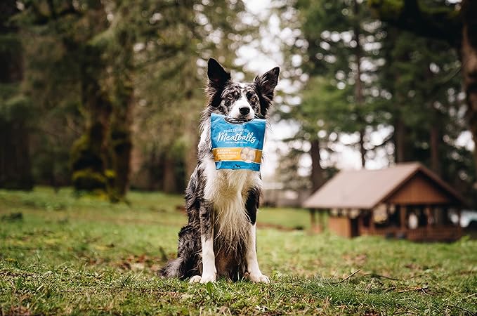 Muenster Freeze-Dried Meatballs Barnyard Chicken Recipe, 4 oz Package