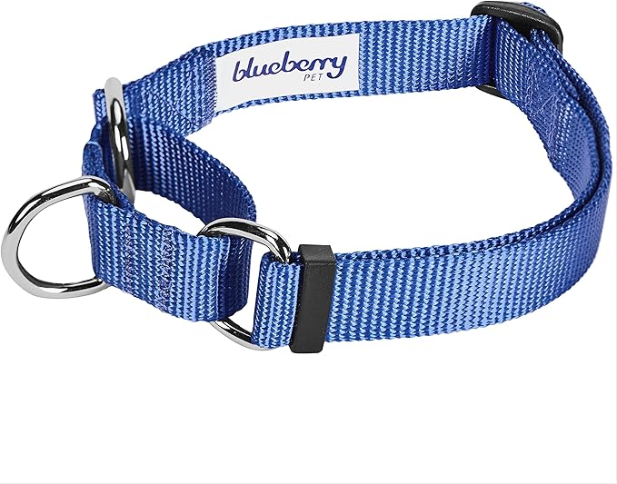 Blueberry Pet Essentials Martingale Safety Training Dog Collar, Marina Blue, Large, Heavy Duty Nylon Adjustable Collars for Dogs