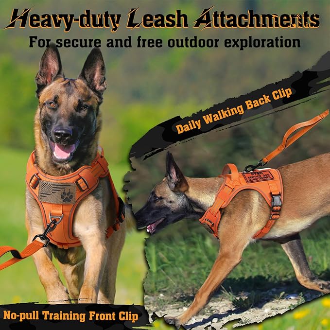 rabbitgoo Dog Harness Medium Sized No Pull, Tactical Service Dog Vest with Molle and Control Handle, Adjustable and Reflective Military Pet Harness for Easy Walking and Training, Orange, M