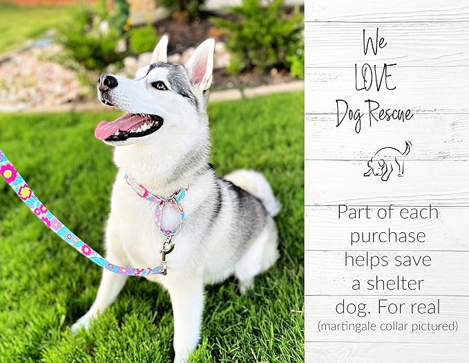 Lucky Love Dog Martingale Dog Collar - Adjustable, No-Slip, Durable, & Soft Webbing Dog Collar for Male and Female Dogs Ideal for Training & Walking - Stylish Caroline Pattern, Small Size