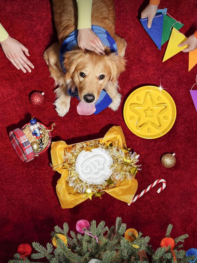 LE TAUCI Ceramic Slow Feeder Dog Bowls Small Breed, 0.6 Cups Dog Food Dish for Fast Eaters, Puzzle Bowl for Small Dogs and Cats, White