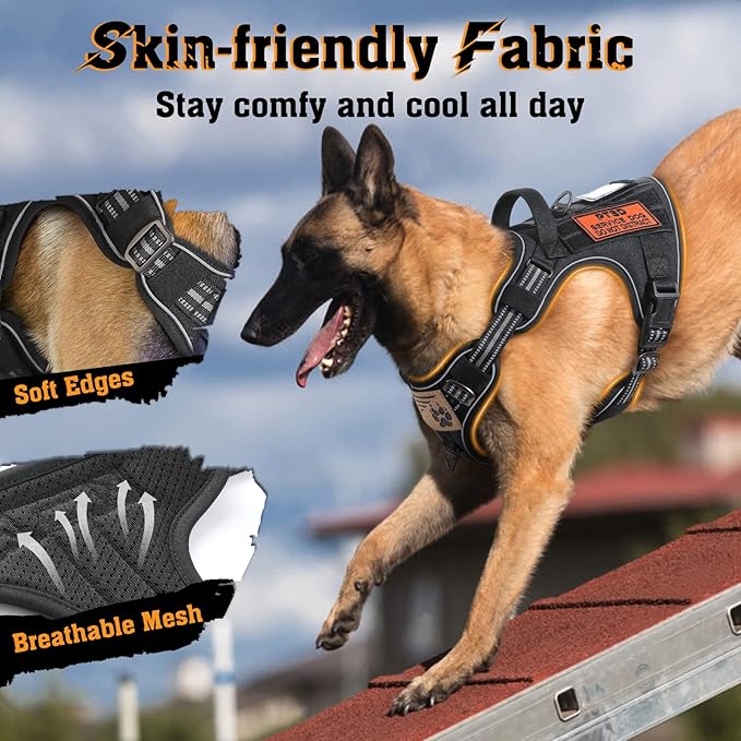 rabbitgoo Dog Harness for Large Dogs No Pull, Tactical Service Dog Vest with Molle and Control Handle, Adjustable and Reflective Military Pet Harness for Easy Walking and Training, Black, L