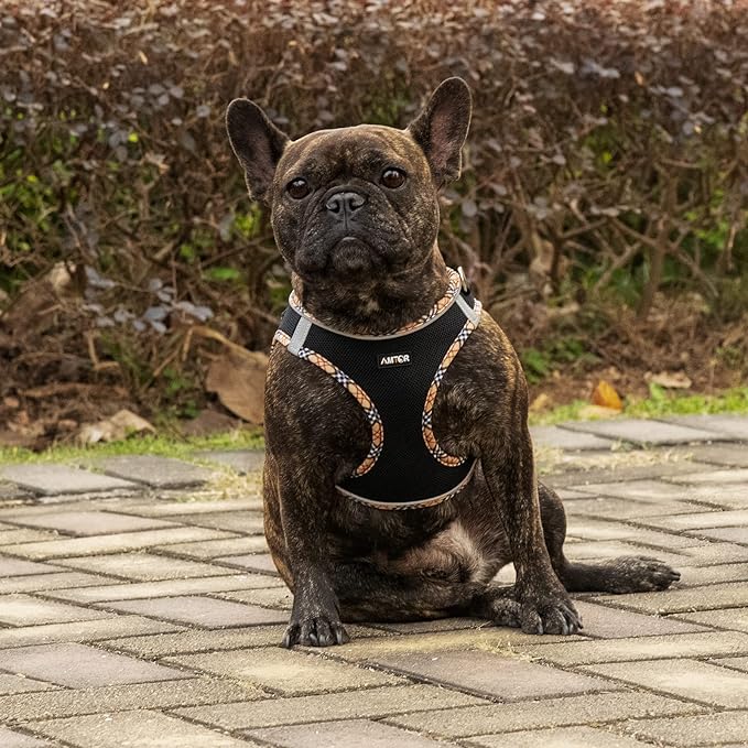 AMTOR Small Dog Harness with Leash Set, No Escape Easy Walk Puppy Harnesses for Training Walking, Step-in Reflective Soft Dogs Vest for XS S Medium Extra-Small Large Sized Dog(BlackYellow,S)