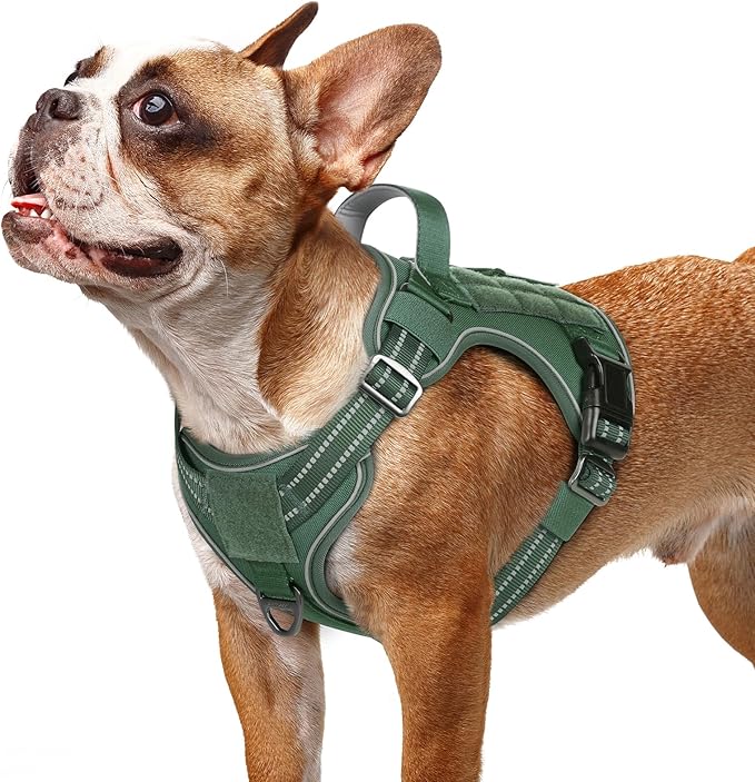 rabbitgoo Dog Harness Small Sized No Pull, Tactical Service Dog Vest with Molle and Control Handle, Adjustable and Reflective Military Pet Harness for Easy Walking and Training, Green, S