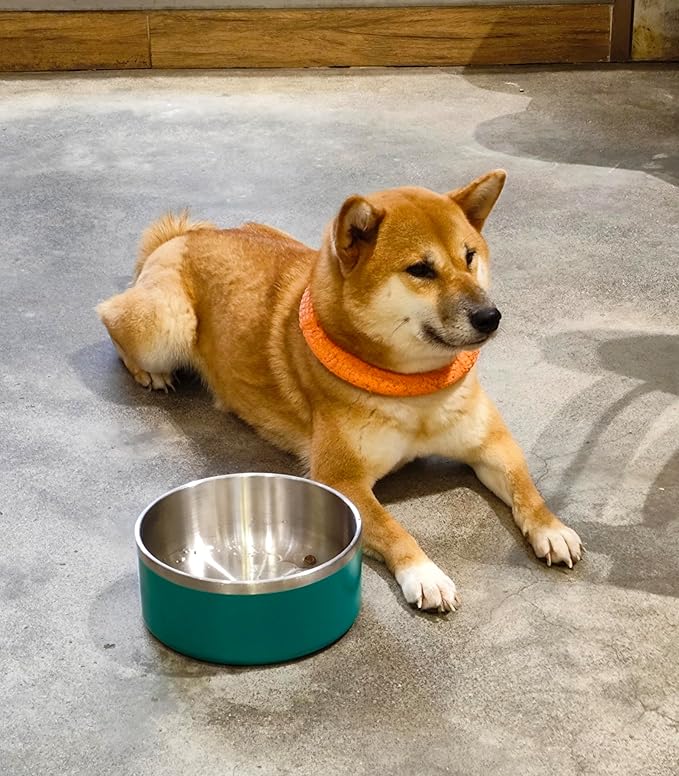 Stainless Steel Bowls for Small Dogs, 40 Ounces/5 Cup Food and Water Bowl, Double Wall Weighted Dish, Rustproof Metal Pet Bowls With Non-Slip Silicone Base