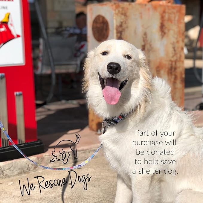 Lucky Love Dog, Adjustable Fun Style Collar and Leash Set for Dogs, Bright Color Matching Dog Collar and Leash - (Small, SOCO Combo)