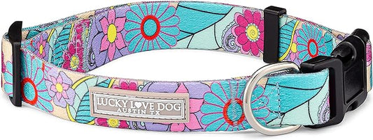 Lucky Love Dog Collars, Cute X-Small Dog Collars for Female Dogs, Part of Purchase Donated to Rescue, Caroline, Extra Small