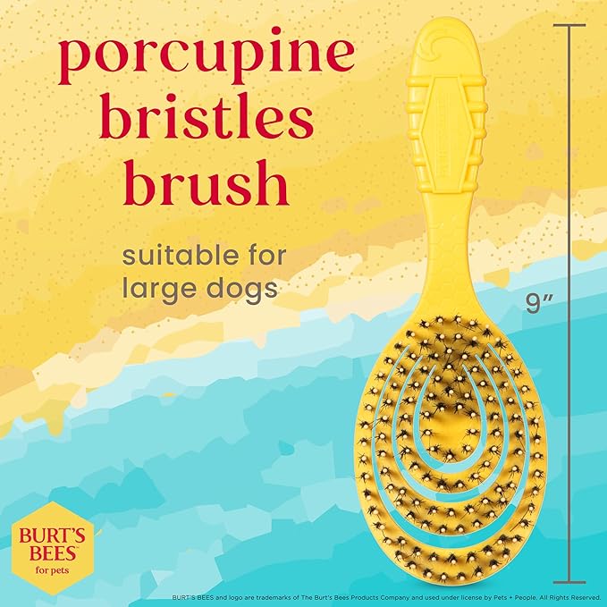 Burt's Bees for Pets Porcupine Bristle Brush, Large Dogs Hair Grooming Tool, Flex Technology, Recycled Plastics Handle, 9 Inches