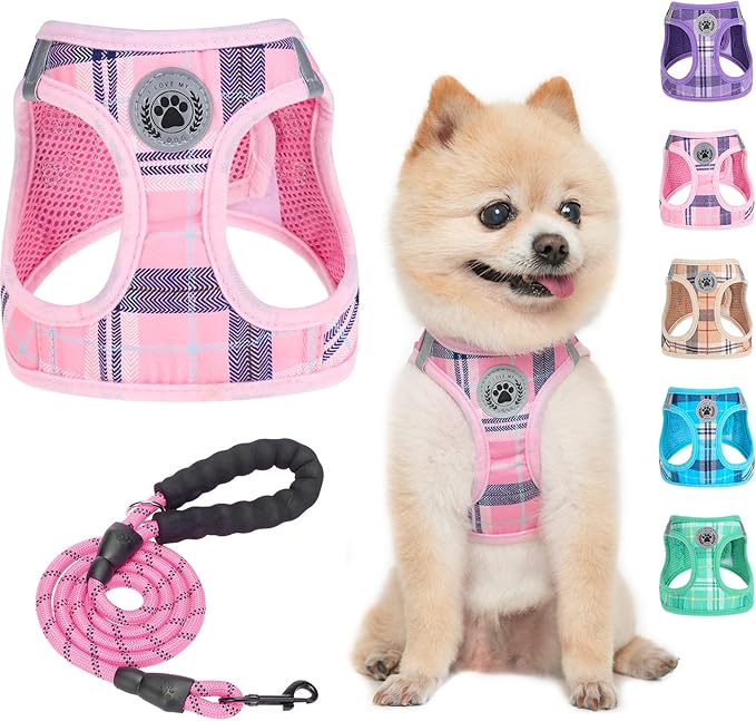 BEAUTYZOO Small Dog Harness and Leash Set,Step in No Chock No Pull Soft Mesh Dog Harnesses Reflective for Extra-Small/Small Medium Puppy Dogs and Cats, Plaid Dog Vest Harness for XS S Pets, Pink XXS