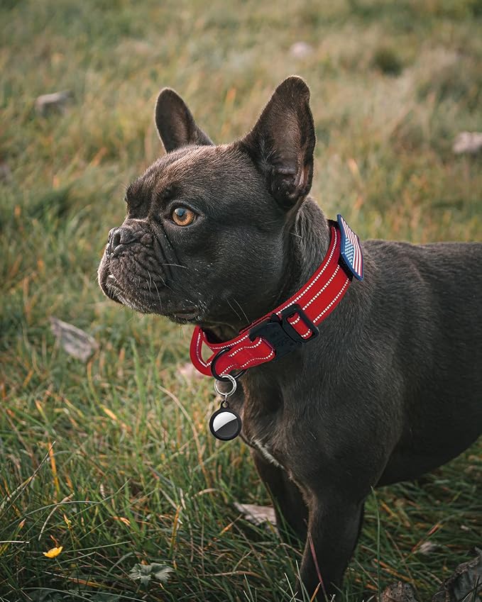 AUBELL Reflective Dog Collar, Tactical Dog Collar Military Dog Collar Adjustable Nylon Dog Collar with Handle and Heavy Metal Buckle Great for German Shepherd, with Airtag Case and Patches(Red, L)