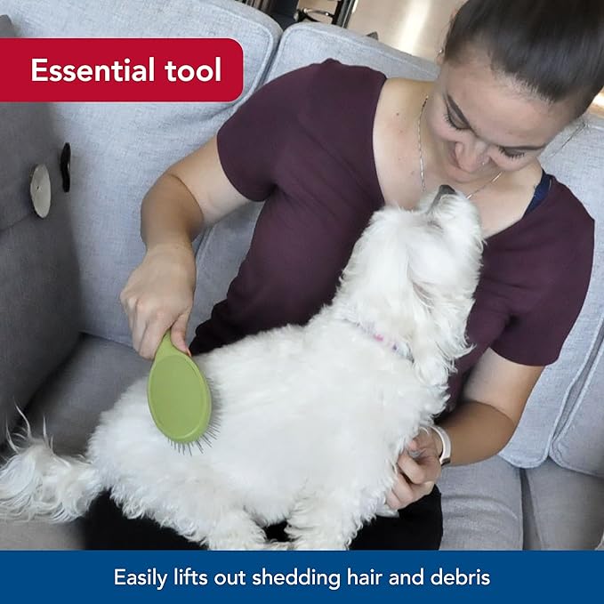 Coastal Pet Safari Wire Brush with Plastic Handle - Grooming Brush for Short and Long Pet Hair - No-Slip Handle - Compatible with Safari Tools - 8.5" x 2.06"