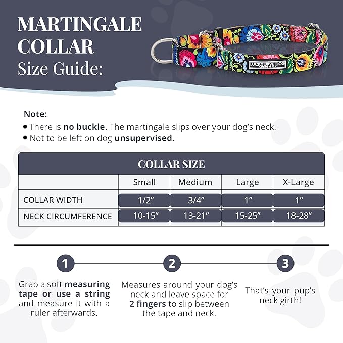 Lucky Love Dog Martingale Dog Collar - Adjustable, No-Slip, Durable, & Soft Webbing Dog Collar for Male and Female Dogs Ideal for Training & Walking - Stylish Blackbird Pattern, Medium Size