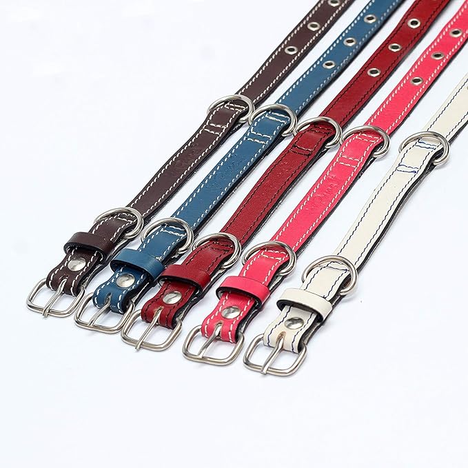 Premium Leather Collars with Stainless Steel Buckles (12"-15", Blue)