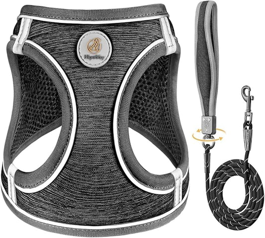 Dog Harness with Leash Set, Adjustable Soft Mesh Padded Reflective Dog Harnesse, Dog Leash with Soft Padded Handle, Puppy Harness and Leash Set for Walking,Training - Black, XS