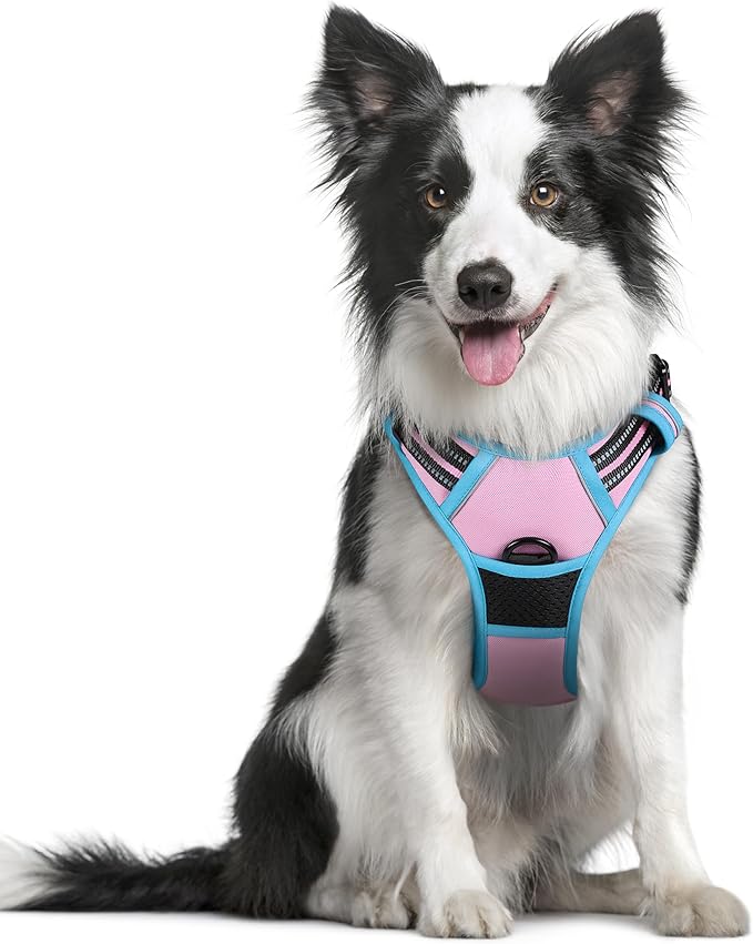 rabbitgoo Dog Harness, No-Pull Pet Harness with 2 Leash Clips, Adjustable Soft Padded Dog Vest, Reflective No-Choke Pet Oxford Vest with Easy Control Handle for Large Dogs, Pink & Blue, M