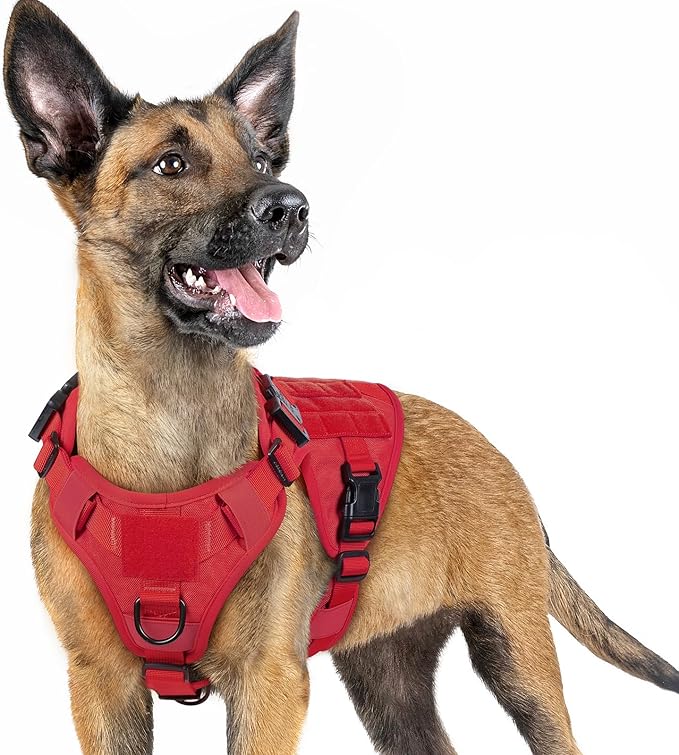 rabbitgoo Tactical Dog Harness for Large Dogs, Heavy Duty Dog Harness with Handle, No-Pull Service Dog Vest Large Breed, Adjustable Military Dog Vest Harness for Training Hunting Walking, Red, S