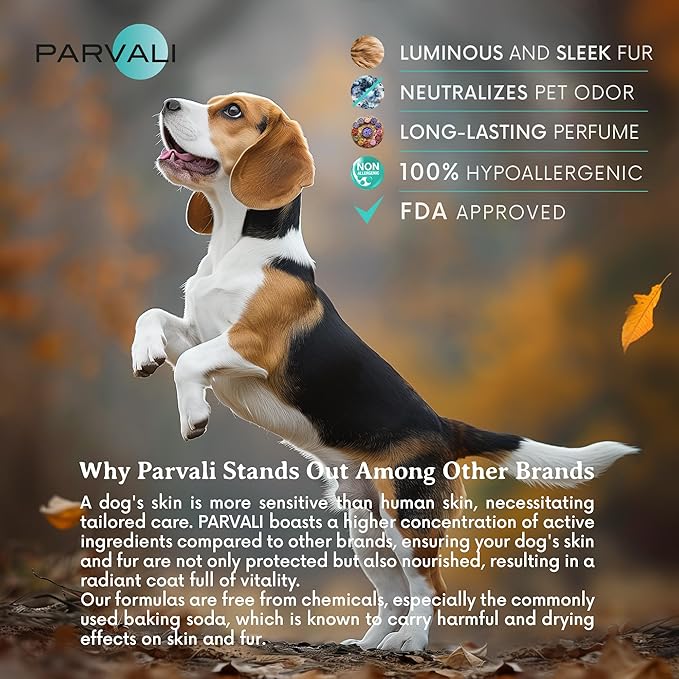 Natural Dead Sea Classic Dog Conditioner (250 ml, 8.45 fl oz). Softens and Penetrates Hair, All Breeds Anti-Dryness Protection. Fortified with Honey, Nettle, Beeswax, and Olive Oil. Enjoy!