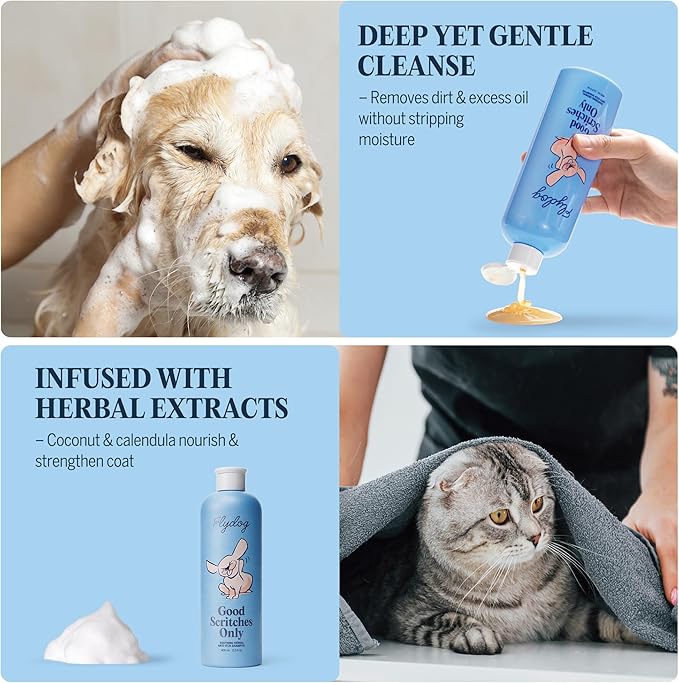 FLYDOG Dog Cat Shampoo with Brush: Natural Herbal Hypoallergenic Pet Shampoo, Deshedding Dandruff Control Deodorizing Moisturizing for Dry Flaky Smelly Skin, Perfect for Puppies Kittens