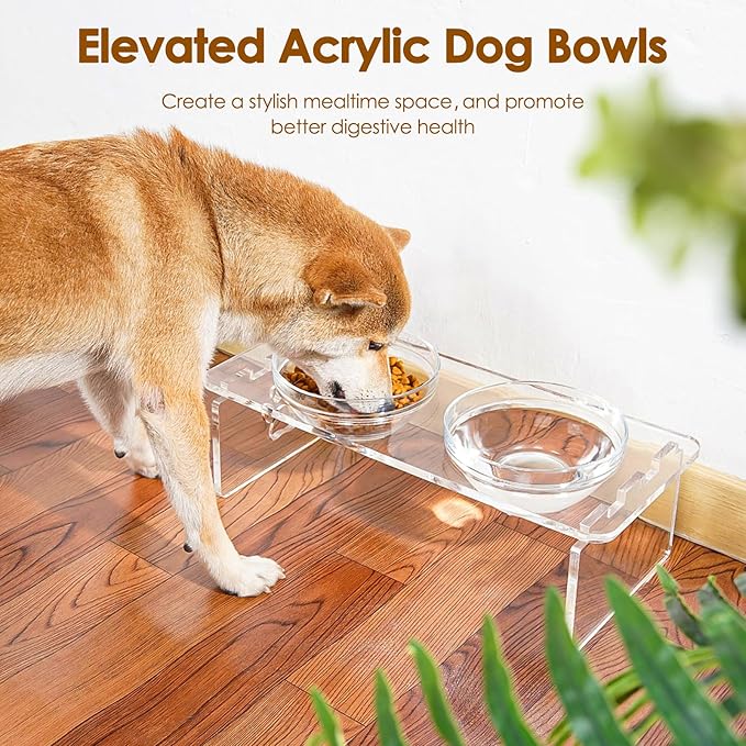 Dog and Cat Bowls Elevated Set - Acrylic Feeder Stand with 2 Set Removable Stainless Steel and Glass Bowls Food and Water Raised Dishes for Medium Dogs,5.5 inches