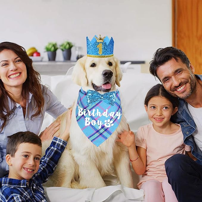 Dog Birthday Party Supplies, Multi Sizes Dog Birthday Bandana Boy Dog Birthday Hat Crown with Birthday Numbers Bow Tie for Medium Large Dogs Pets (Light Blue, Large)