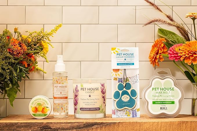 Pet House 9 oz Snow Cone Scented Pet Odor Candle, Clean Burning, Long Lasting, Plant Based Spring, Summer Scented Soy Candles, 60 Hour Burn Time, Pack of 2