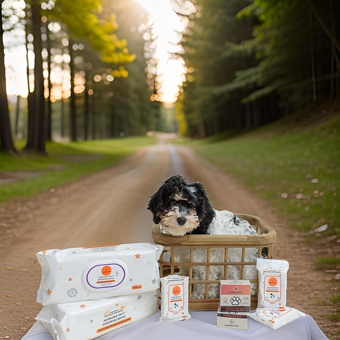 Aurora Pet Wipes – 100% Natural, Plant-Based Hypoallergenic Grooming Wipes for Dogs & Cats – Extra-Durable, Large & Thick for Effortless Cleaning (Combo, 200 Count)