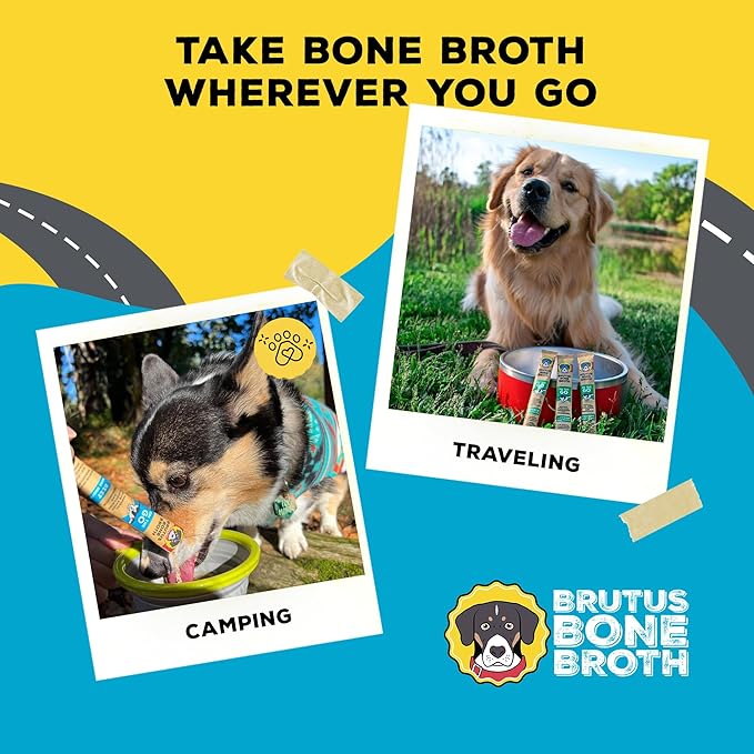Brutus Bone Broth for Dogs - Bone Broth Powder with Chondroitin Glucosamine & Turmeric - Human Grade Dog Food Toppers for Dry Food & Picky Eaters - 5 Stick (Beef)