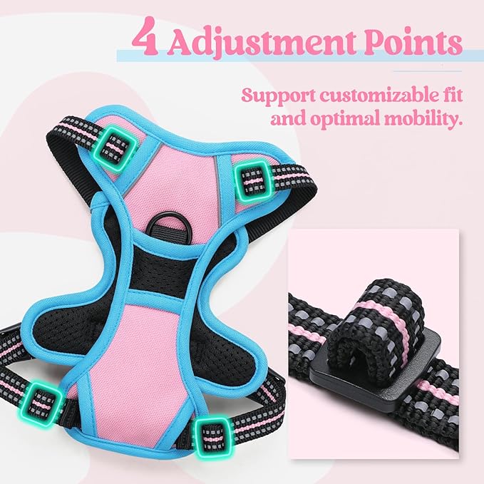 rabbitgoo Dog Harness, No-Pull Pet Harness with 2 Leash Clips, Adjustable Soft Padded Dog Vest, Reflective No-Choke Pet Oxford Vest with Easy Control Handle for Large Dogs, Pink & Blue, X-Small