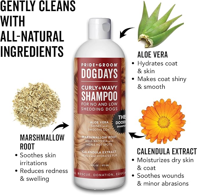 Pride and Groom DogDays Curly + Wavy Grooming Shampoo | Tearless, All-Natural Shampoo for No and Low Shedding Dogs | Moisturizing Formula for Soft, Shiny, & Healthy Fur – 16 oz