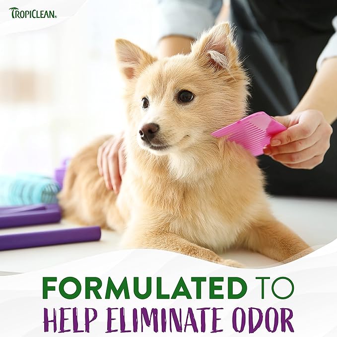 TropiClean High Concentrate Dog Shampoo, Professional Grade & Size for Groomers, 42:1 Dilution, Puppy Safe, USA Made, Pure Plum Scent, 1 Gallon