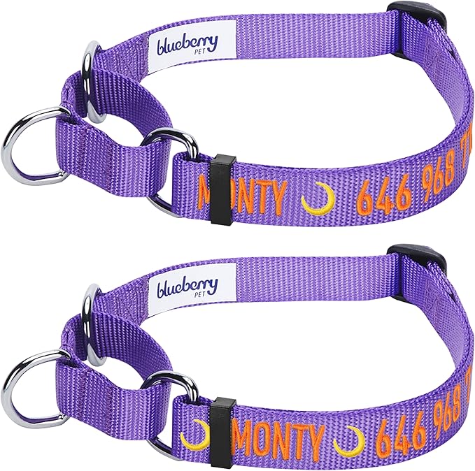 Blueberry Pet Essentials Personalized Martingale Safety Training Dog Collar, Dark Orchid, Small, Adjustable Customized ID Collars for Dogs Embroidered with Pet Name & Phone Number