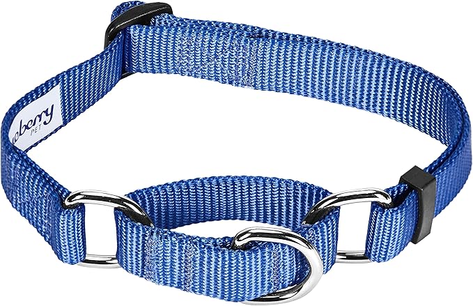 Blueberry Pet Essentials Martingale Safety Training Dog Collar, Marina Blue, Large, Heavy Duty Nylon Adjustable Collars for Dogs