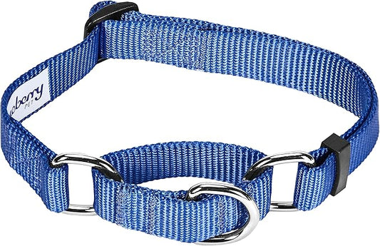 Blueberry Pet Essentials Martingale Safety Training Dog Collar, Marina Blue, Large, Heavy Duty Nylon Adjustable Collars for Dogs