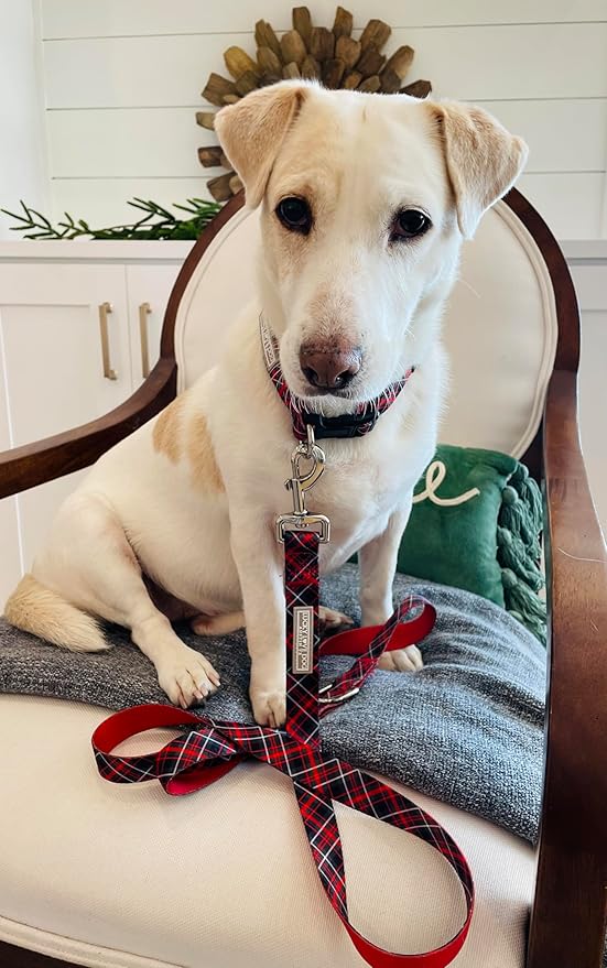 Lucky Love Dog Collar and Leash Set, Beautiful Evergreen Dog Collar, Vivid Berry Plaid Dog Collar for Boy and Girl Dogs - (Extra Small, Heywood Combo)