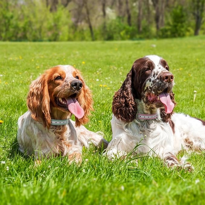Shock Collar Replacement Collar Strap, Waterproof Odorless Reflective TPU Dog Collar, 3/4 Inch Adjustable Dog Collar with Metal Buckle - All Brands Pet Training Bark Shock Collars(Pink & Green)