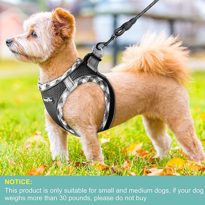 haapaw Dog Harness with Leash Set, No Pull Adjustable Reflective Step-in Puppy Harness with Thickened Padded Vest for Extra-Small/Small Medium Dogs