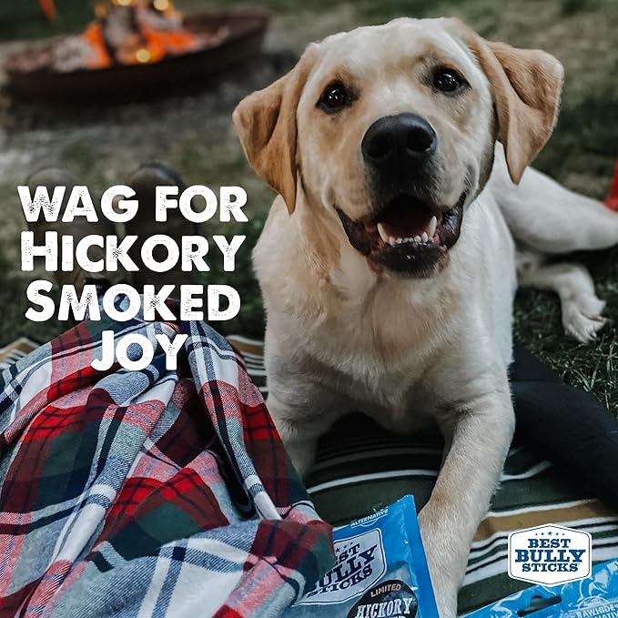 Best Bully Sticks Premium Hickory Smoked 100% Natural Thick 6 Inch Bully Sticks for Dogs - Odor Free with Smoky Aroma - No Additives Free-Range Grass-Fed Beef, Grain-Free Dog Chews - 5 Pack