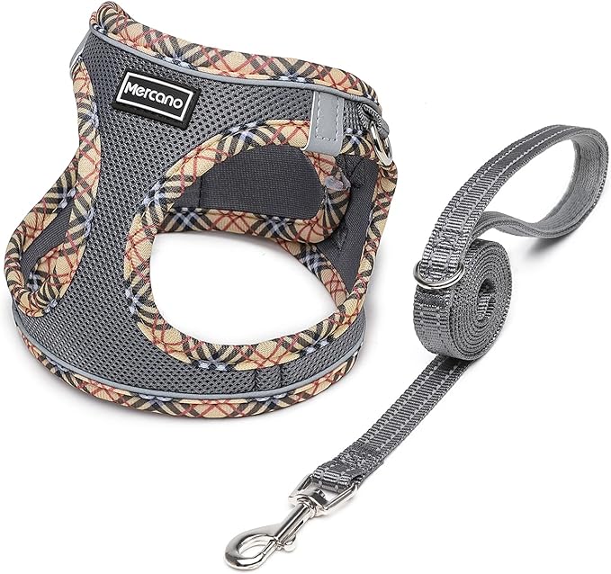 Mercano Soft Mesh Dog Harness and Leash Set, No-Chock Step-in Reflective Breathable Lightweight Easy Walk Escape Proof Vest Harnesses with Safety Buckle for Small Medium Dogs, Cats (Grey, M)