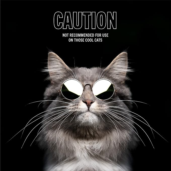 Bark2Basics Rock The Dog Aloe Pet Shampoo, 1 Gallon - Enriched with Menthol for Cooling and Soothing The Skin, Adds Moisture and Hydration to The Skin and Coat, 16:1 Concentration, Professional