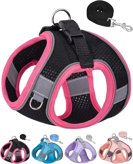 Dog Harness for Small Medium Sized Dog, Puppy Harness and Leash Set Training, Dog Harness and Leash Set, Dog Vest Harness, Dog Harness Small Sized Dog, Small Dog Harness. (Black, XXS)