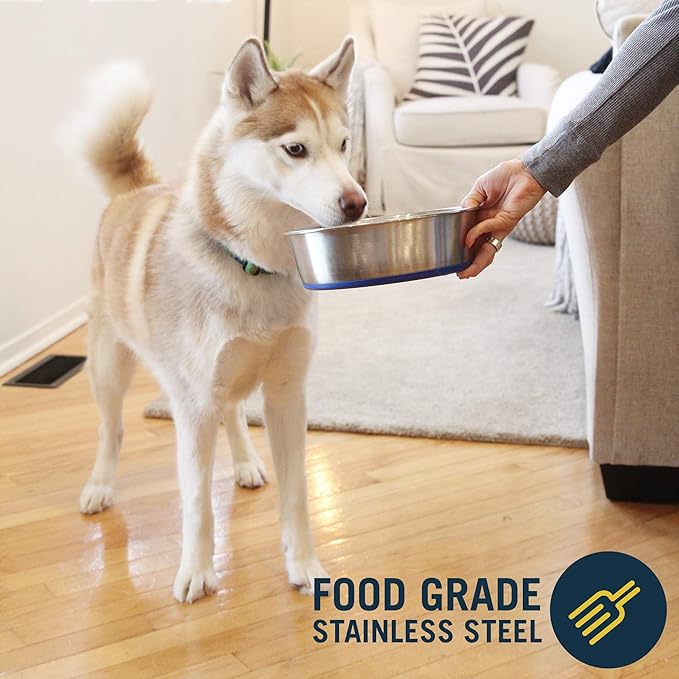 OurPet's DuraPet Premium Dishwasher Safe Stainless Steel Dog Bowl for Food or Water [Multiple Sizes for Small to Large Dogs] Extra Large (11 Cups)