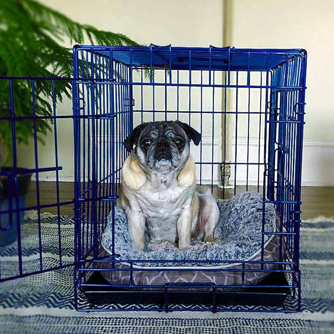 PET Expressions Luxury Colorful 24 Inch Foldable Dog Crate with 2 Doors | Free Training Ebook and Pet Calming Music | 3 Colors & 3