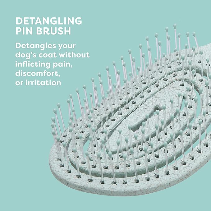 BioSilk Dog Brush, Eco-Friendly Detangling Pin Brush for Dogs in Mint Green, Easy to Hold Ergonomic Handle Dog Brushes, Wet or Dry Dog Hair Brush, 48 Pack