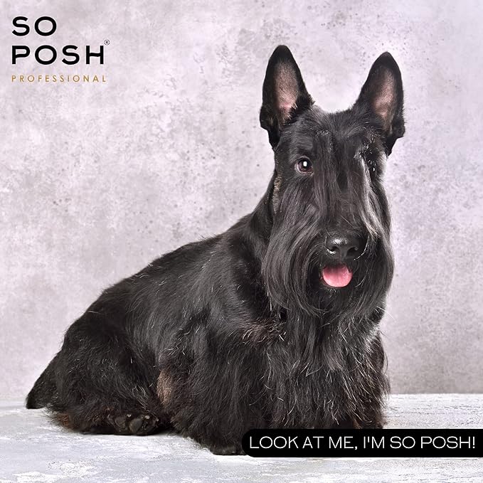 So Posh I'm So Harsh Dog Shampoo - with Sea Salt, Perfect for French Bulldogs, Terriers & Schnauzers, Texturizing, Deep-Cleansing, Sulfate & Paraben Free, 1:10 Concentrate. 8.4 Oz