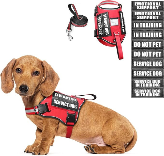 WINSEE Small Dog Harness & Leash Set, Red, X-Small, Nylon, Emotional Support Therapy Vest with 10 Patches, Breathable, Adjustable, for Service Dog Training
