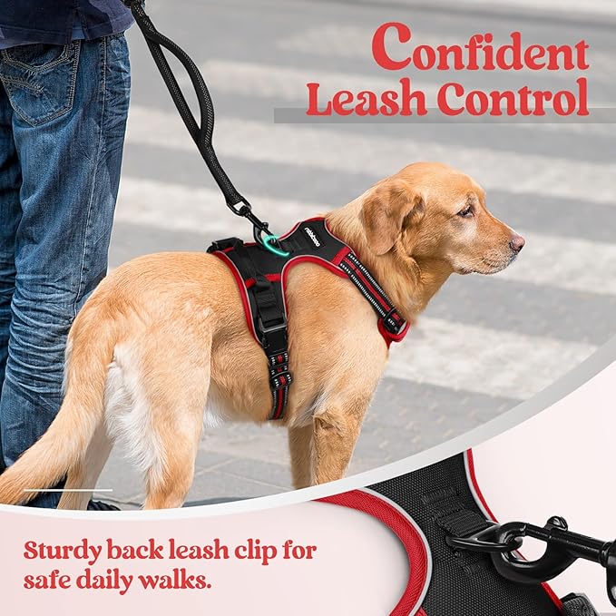rabbitgoo Dog Harness, No-Pull Pet Harness with 2 Leash Clips, Adjustable Soft Padded Dog Vest, Reflective No-Choke Pet Oxford Vest with Easy Control Handle for Large Dogs, Black & Red, M